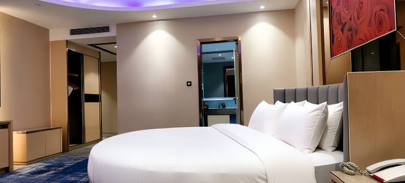 仙游万佳国际酒店(中骏世界城店)图片