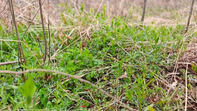 庐江冶父山居度假庄园图片