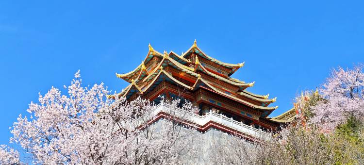 香格里拉森屿供氧民宿(独克宗古城店)图片