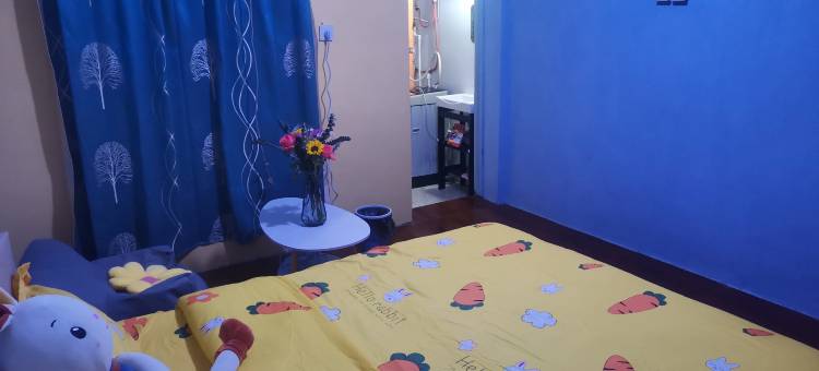 避风港青旅图片