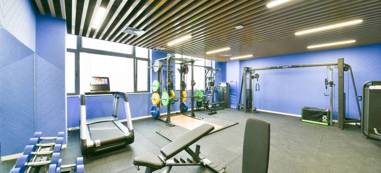 辛集中心智选假日酒店图片