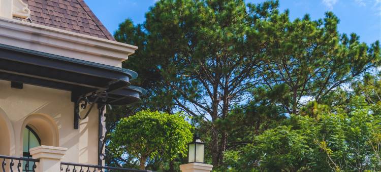 大叻美居度假村(Mercure Dalat Resort)图片