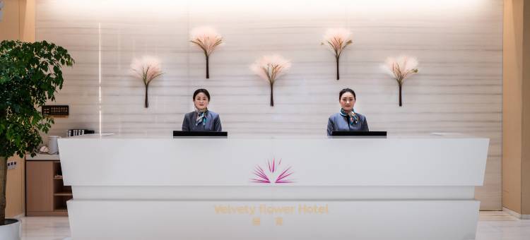 绒花酒店(无锡南长街南禅寺店)图片