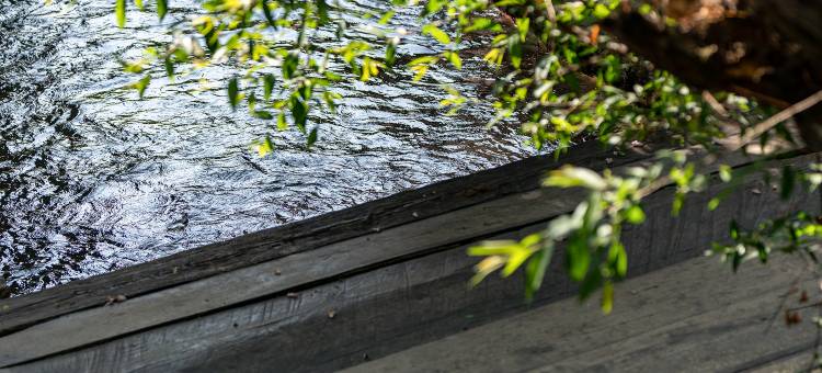 君泊轩水岸庭院(丽江古城店)图片