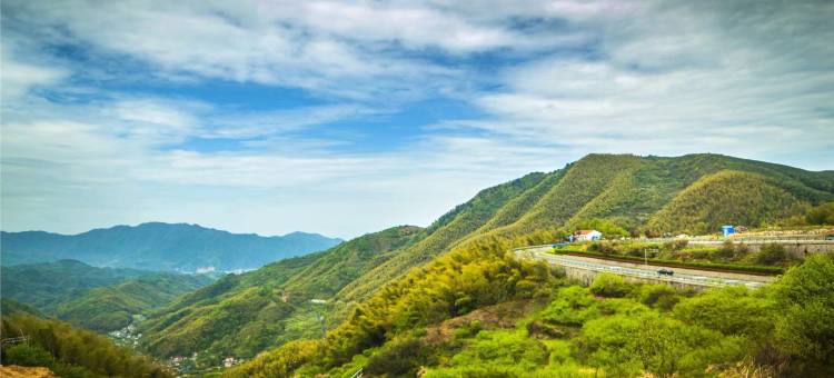 青藤艺宿酒店(余姚行政服务中心店)图片