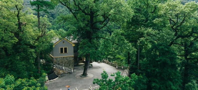 天目山留椿屋图片