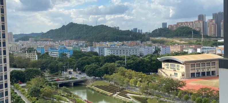 忠隆影视公寓(深圳坪山高铁站锦龙地铁站店)图片