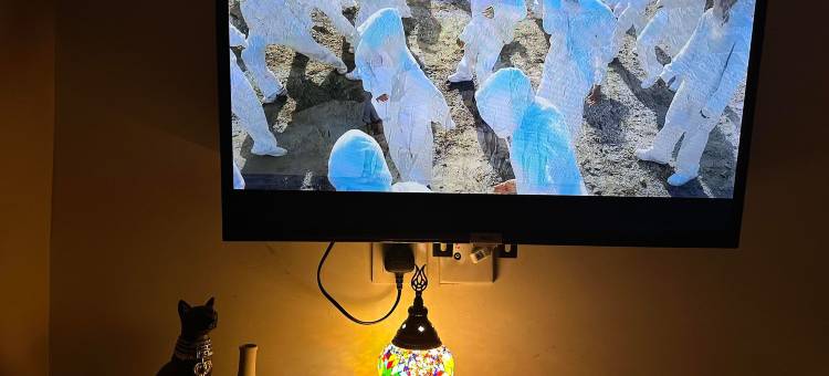 皇家巴黎宾馆图片