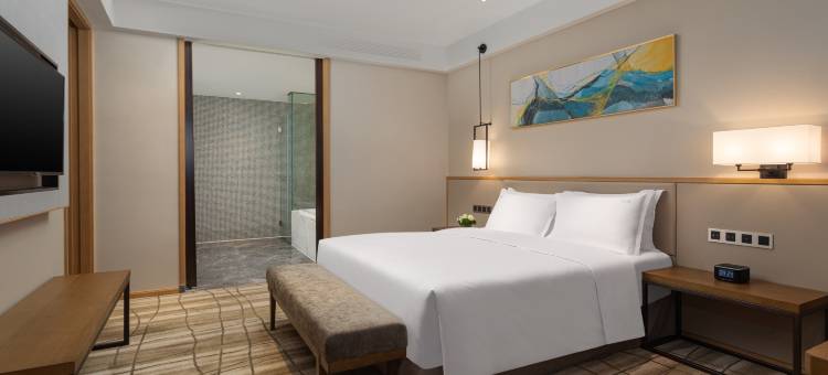 成都机场假日酒店(双流机场店)图片