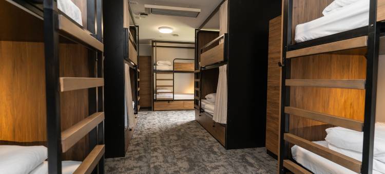 法兰兹约瑟夫哈卡房子(Haka House Franz Josef)图片