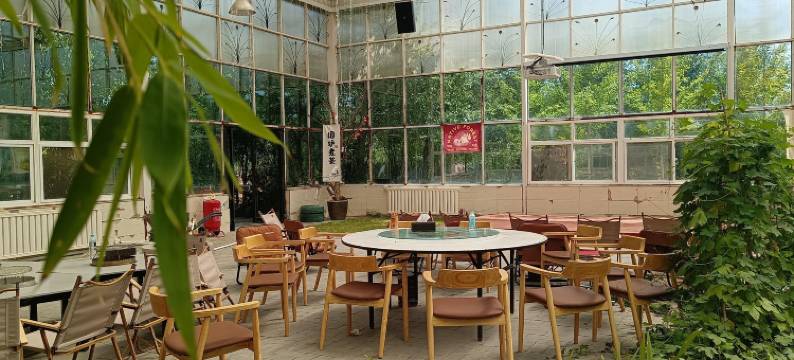 青果树屋营地图片