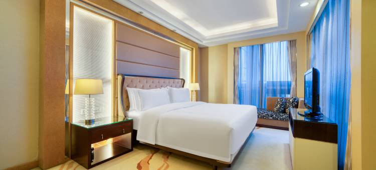 杭州海外海大酒店图片