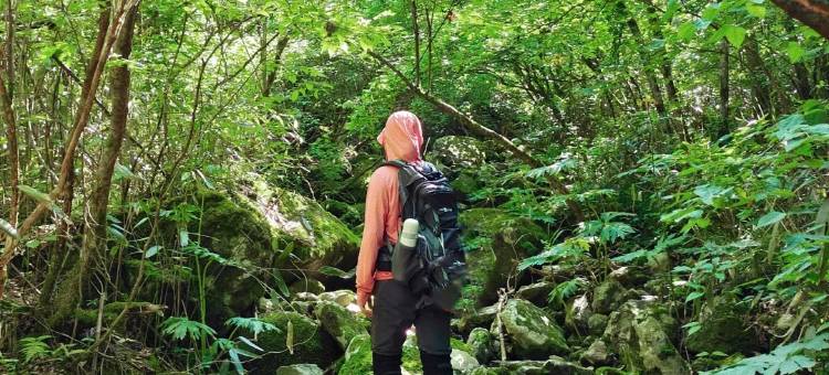 山风竹韵·溪畔亲子山野徒步度假美宿(安吉龙王山漂流店)图片