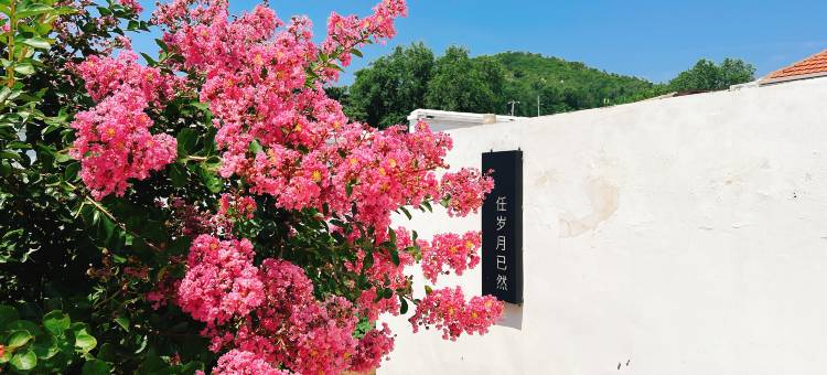 烟台童院里民宿图片