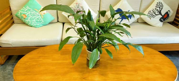 骏怡连锁酒店(乌达民乐商场店)图片