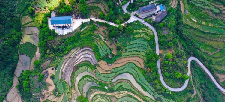 石林修竹山庄图片