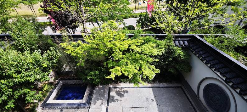 隐约春风里民宿图片