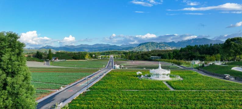 武义花田美地·安琪儿钟楼酒店图片