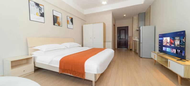 天月艺术设计民宿(西安金辉环球广场店)图片