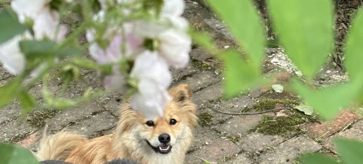 清镇引舍故里康养度假民宿(红枫湖景区店)图片