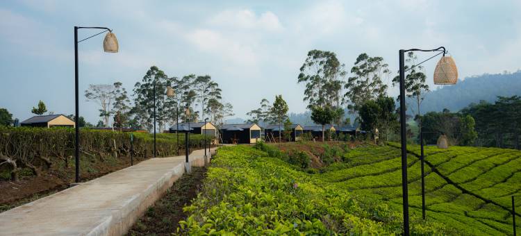 Bobocabin Pangalengan, 万隆(Bobocabin Pangalengan)图片