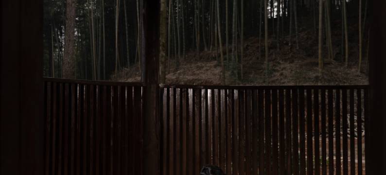 随遇ZeLin·山巅之境360°环山温泉美宿(安吉江南天池滑雪场店)图片