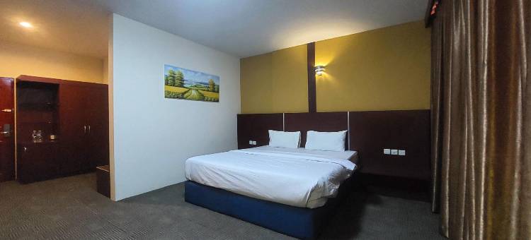 德梅里昂酒店巴淡岛(DMerlion Hotel Batam)图片