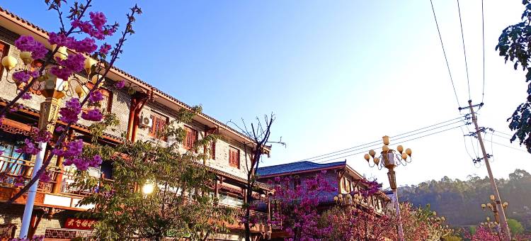 会理在水宜芳酒店图片