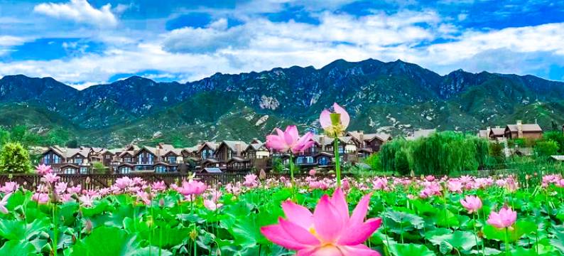 叁叁谷雨酒店(奥伦达原乡美利坚店)图片