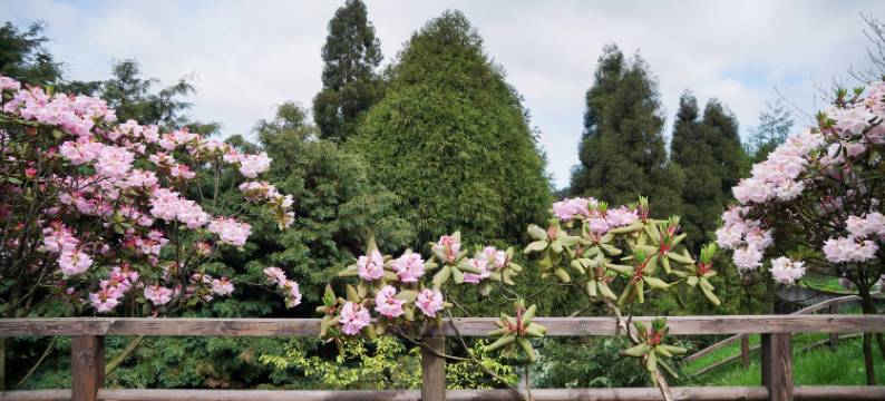 仙女山华邦酒店图片