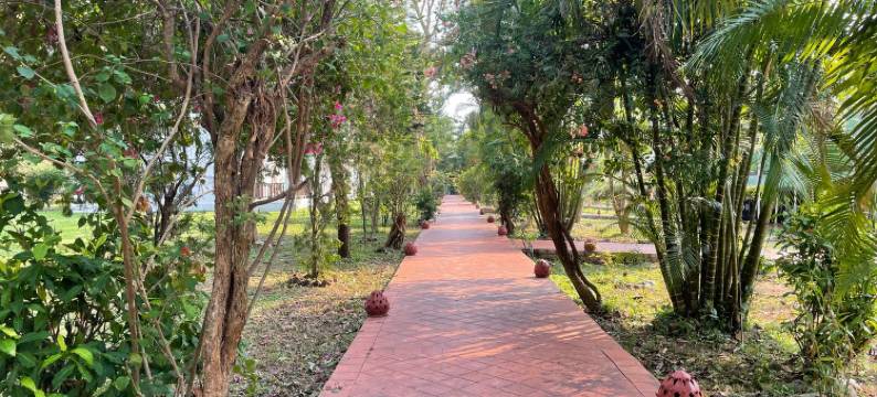 南区滨江度假酒店(Nam Ou Riverside Resort)图片