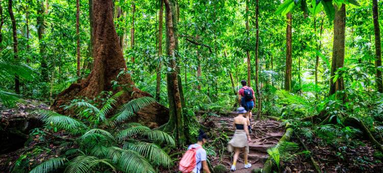 凯恩斯中央青年旅舍(YHA Cairns Central)图片