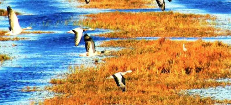 威宁乌蒙度假酒店图片