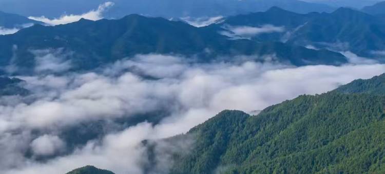雾隐山居·云海度假民宿(坡山风景区店)图片