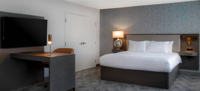 温尼伯市中心希尔顿欢朋酒店(Hampton Inn by Hilton Winnipeg Downtown)图片