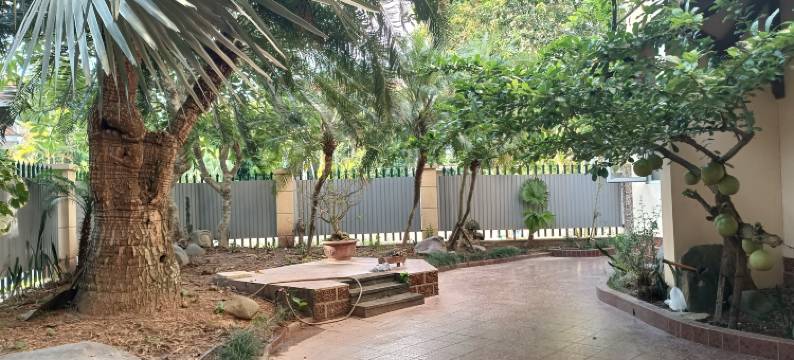 88 伊霍姆 内排机场(88 Ehome Noibai Airport)图片