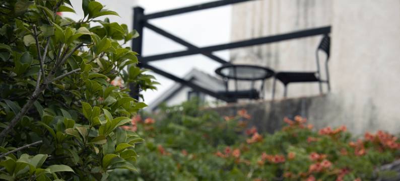 南京勐拉温泉汤屋民宿图片