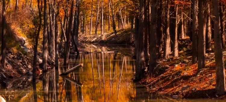 半亩梯田星空泳池度假美宿(皖南川藏线店)图片