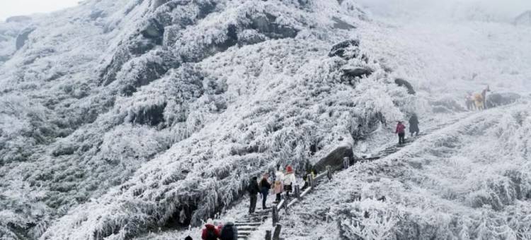 怡景·民宿(南岳衡山风景区南岳大庙景区店)图片
