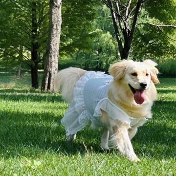 弥勒汶慧轩文化酒店(东风韵景区)图片