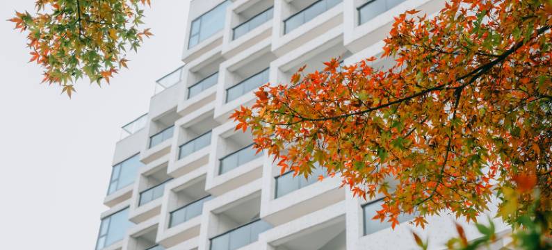 千岛湖燕山君澜度假酒店图片