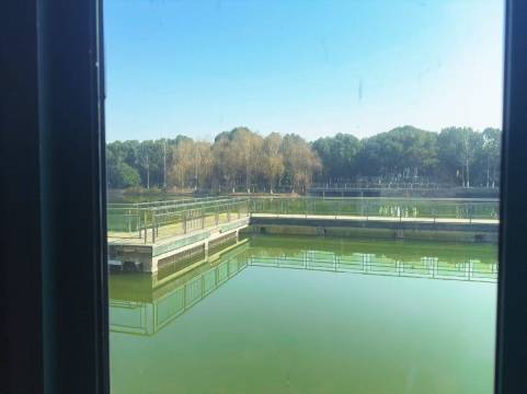 麗枫酒店(南京禄口机场店)图片