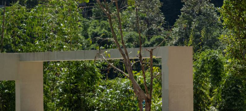 爱上怒江·布拉底|庄园酒店(怒江福贡店)图片