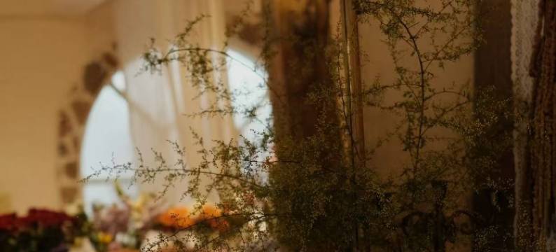 梵尘·Organic life永续地球丨Demeter°私宅(沙溪古镇店)图片