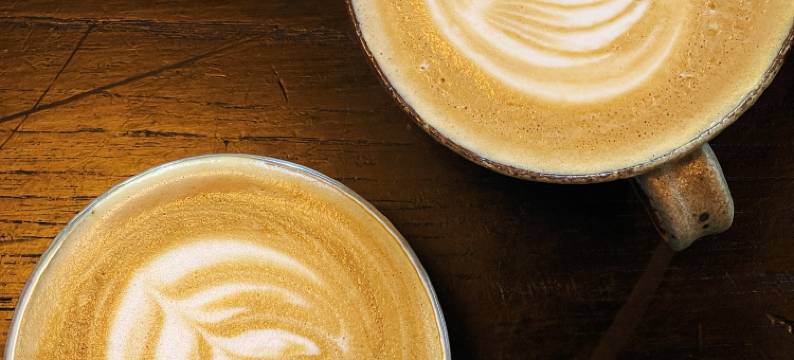 無木空间民宿图片