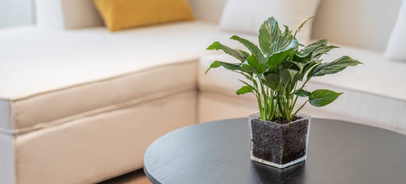 美豪丽致酒店(淮安河下古镇店)图片