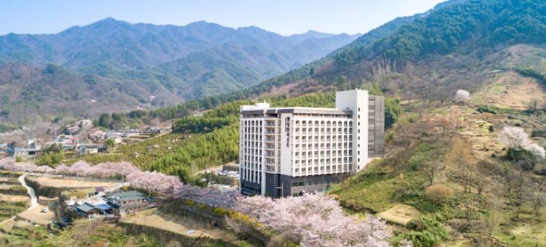 智异山河东肯辛顿度假村(KensingtonResort JirisanHadong)图片