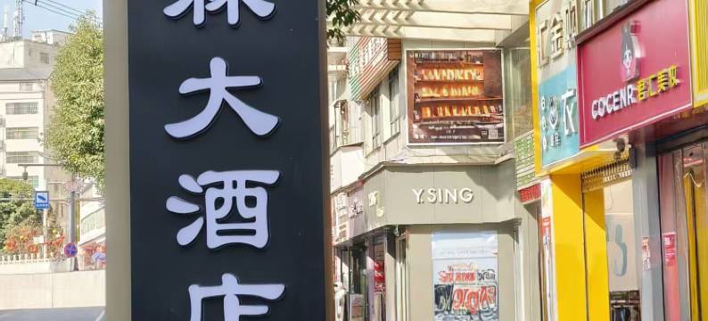 紫阳源森大酒店图片