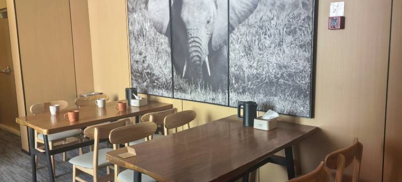 吐鲁番亚悦酒店(葡萄沟店)图片