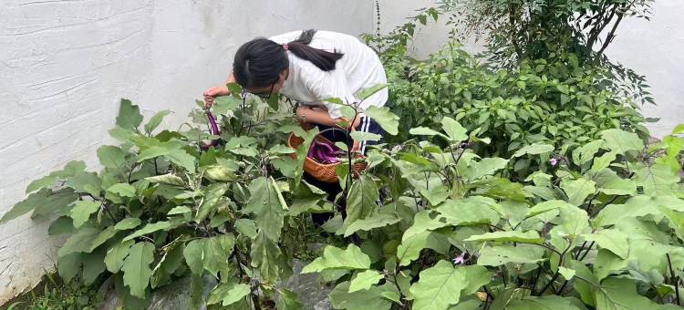 柿子树下·亲子度假团建·泳池·萌宠美宿(桐庐OMG心跳乐园店)图片
